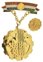 1970. "Kiváló Termelőszövetkezeti Dolgozó" aranyozott, műgyantás kitüntető jelvény miniatűrrel T:AU