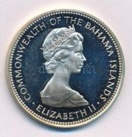 Bahamák 1972. 1$ Ag "II. Erzsébet" T:AU (eredetileg PP)
Bahamas 1972. 1 Dollar Ag "E...