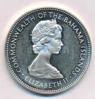 Bahamák 1976. 2D Ag "II. Erzsébet / Flamingók" T:AU (eredetileg PP)
Bahamas 1976. 2 Dolla...