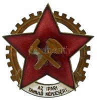 DN(1953) "Az Ipari Tanuló Képzésért" zománcozott bronz jelvény (37mm) T:AU,XF, letört tű