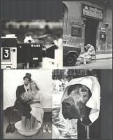 16 db nagyméretű művészfotó, részben feliratozva, 18×13 és 23×18 cm közötti méretekben