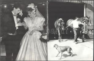 16 db nagyméretű művészfotó, részben feliratozva, 18×13 és 23×18 cm közötti méretekben