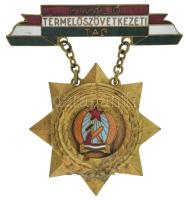 DN(~1950) "Kiváló Termelőszövetkezeti Tag" Rákosi-címeres, zománcozott, aranyozott bronz kitüntetés miniatűrrel T:XF,VF, kis zománchiba, kis ragasztónyom(?)