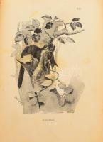 Garády) Gauss Viktor: Képek a természet világából különös tekintettel Magyarországra. 



Bp. 19...