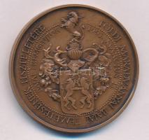 Fűz Veronika (1951-) 1991. "Mészáros Lázár 1848-as tábornok / Földi maradványai bajai temetésének tiszteletére - Bajai Éremgyűjtők" kétoldalas bronz emlékérem (42,5mm) T:AU Adamo BA6