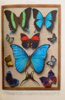 1933 L'Illustration Noel. Francia nyelven. Rendkívül gazdag színes és fekete-fehér képanyaggal....