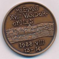 Lantos Györgyi (1953-) 1988. "Türr István 1825-1908 / MÉE XVIII. Vándorgyűlés - Baja" kétoldalas bronz emlékérem (42,5mm) T:UNC,AU Adamo BA3