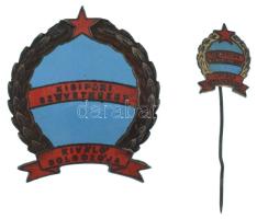 DN (~1970-1980) "Kisipari Szövetkezet Kiváló Dolgozója" zománcozott fém jelvény miniatűrrel (38x42mm ; 14x18mm) T:XF, patina