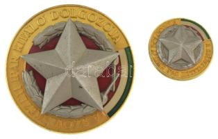 DN (~1975) "A Szövetkezeti Ipar Kiváló Dolgozója" aranyozott, rátétes műgyantás jelvény miniatűrrel (40mm ; 20mm) T:AU