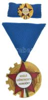 DN(~1960) "Kiváló Szövetkezeti Munkáért" aranyozott, zománcozott kitüntetés mellszalagon, miniatűrrel szalagsávon T:AU