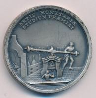 1960-1970 k. "Selmecbányai Bányászati Akadémia - pénzverés" Matthäus Donner emlékérméjének utánverete, ezüstpatinázott bronz jutalomérem. "ARTIS MONETARIAE STUDIUM PRAEMIAT / MAR THERESIA PIA AUG FEL REI METALLURG RESTAURATRIX" (45mm) T:XF