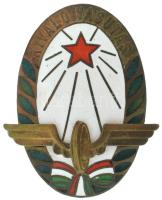 DN(~1960-1970) "Kiváló Vasutas" zománcozott fém kitüntető jelvény (30x44mm) T:AU, patina