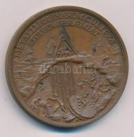 1960-1970 k. "Selmecbányai Bányászati Akadémia - bányaművelés" Matthäus Donner emlékérméjének utánverete, bronz jutalomérem. "METALLI FODINARUM CULTURAE STUDIUM PRAEMIAT / MAR THERESIA PIA AUG FEL REI METALLURG RESTAURATRIX" (45mm) T:XF