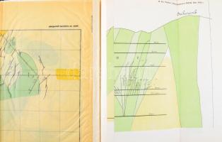 Pálfy Mór: Az erdélyrészi Érchegység bányáinak földtani viszonyai és érctelepei. A Magyar Királyi Fö...