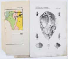 Schréter Zoltán: A Borsod-Hevesi szén és lignitterületek bányaföldtani leírása. / Vadász Elemér: A b...