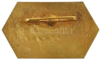 Tunézia 1973. "Carthage 1973" zománcozott bronz jelvény (24x41mm) T:1- Tunisia 1973. "...