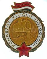 DN (~1970-1980) "Kohászat Kiváló Dolgozója" zománcozott, aranyozott bronz jelvény (34x43mm) T:AU,XF
