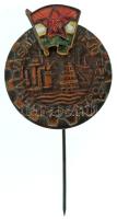 1951. Dolgozó Ifjúság Szövetsége "DISZ - Dunai Vasmű Ifjú Építője" bronz lemezkitűző, zománcozott rátéttel (25x29mm) T:AU