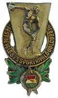 DN (~1960) "Testnevelés és Sport Kiváló Dolgozója" aranyozott, zománcozott fém jelvény (17x22mm) T:XF,VF, aranyozás lekopott