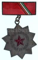 DN(~1960) "A kisipari Szövetkezet Kiváló Dolgozója" részben műgyantás, Zn kitüntetés (~30x50mm) T:AU