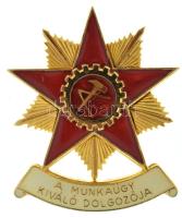 DN(~1970) "A Munkaügy Kiváló Dolgozója" zománcozott, aranyozott bronz kitüntetés (32x39mm) T:AU