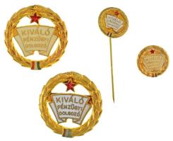 DN (~1960-1970) "Kiváló Pénzügyi Dolgozó" (2xklf) aranyozott, zománcozott fém jelvény + lemezjelvény (25mm), miniatűrrel (13mm), miniatűr kitűzővel (13mm) T:AU