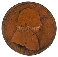 Németország DN "Georg Heinrich Sieveking - Geb. 1742" egyoldalas bronz lemezérem (41mm) T:...