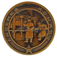 DN "Érdemes Kohász" bronz kitüntető jelvény (31,5mm) T:AU