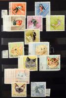 Magyar többpéldányos rendező az 1965-1971 közötti időszakból 12 fekete lapos A4-es berakóban