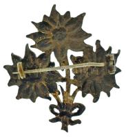 1930 k. "BTE (Budapesti Turista Egyesület)" bronz jelvény (36x38mm) T:XF