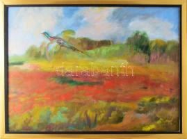 Tallós Ilona (1918-1991): Felreppenő fácán, 1986. Olaj, farost, jelezve jobbra lent: Tallós 1986. Katalógusszám nélkül. 50×70 cm. Keretben.