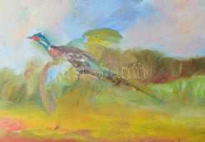 Tallós Ilona (1918-1991): Felreppenő fácán, 1986. Olaj, farost, jelezve jobbra lent: Tallós 1986. Ka...