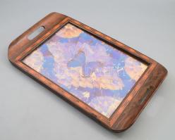 Morpho lepke szárnyaiból készült képpel díszített üvegezett kínálótálca, kis sérüléssel, 29x47 cm