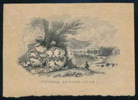 Lamberts (1795-1845): Thomas Alcockbeck . Acélmetszet. 11x8 cm