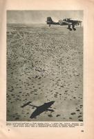 Az új világháború története + Az öt világrész harca. (A Pesti Hírlap 1942. és 1943. évi évkönyve.) [...