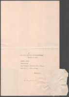 1907Bp., gróf Apponyi Albert (1846-1933) nagybirtokos, politikus, belső titkos tanácsos, vallás- és ...