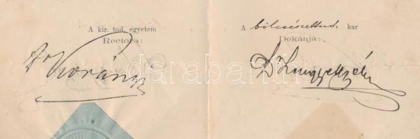 1886 br. Korányi Frigyes (1827-1913) aláírása Sajó Sándor, született Heringer (1868-1933 költő, tanár, drámaíró, tankerületi királyi főigazgató, az MTA levelező tagja részére kiállított bölcsészkari oklevél