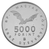 2005. 5000Ft Ag "Az Aggteleki-karszt barlangjai" kapszulában, díszdobozban T:PP Adamo EM196