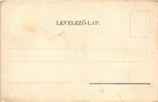 Horgos, Kamaráserdő; Brauswetter villa / villa (ázott sarok / wet corner)