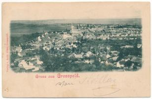 1899 Nagyapold, Grosspold, Apoldu Mare, Apoldu de Sus; látkép. Andr. Glatz kiadása / general view (EK)