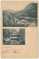 1899 Szászkabánya, Németszászka, Sasca Montana; látkép, étterem / general view, restaurant (EM)