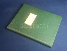 [Kézirat] Nemo írói álnevet használó ismeretlen szerző "Egy leány története" című 141 + 1 ...