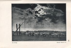 Utazgassunk hazánk földjén! [A MÁV túra- és városnézési ajánlatai.] (1931).
Budapest, 1931. (Magyar...