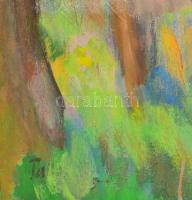 Tallós Ilona (1918-1991): Nógrádverőce (Verőce, Dunakanyar). Olaj, vászon, jelezve balra lent: Talló...