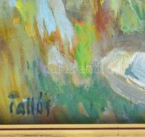 Tallós Ilona (1918-1991): Balatonpart. Olaj, farost, jelezve balra lent: Tallós. Katalógusszám nélkü...
