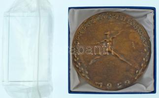 Szabó Iván (1913-1998) 1950. "Magyar Táncművészeti Főiskola" egyoldalas, öntött bronz plakett tokban (94mm) + "Magyar Táncművészeti Egyetem" gravírozott plexi levélnehezék (77x50x50mm) T:XF