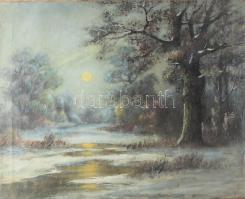 Jelzés nélkül: Táj. Olaj, vászon. Sérült. 55,5x68 cm