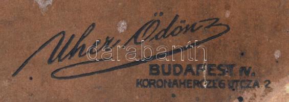 ca 1900 Kossuth Ferenc (1841-1914) miniszter díszmagyarban, Kossuth Lajos fiának nagy kabinetfotója,...