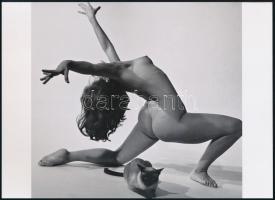 cca 1953 André de Dienes (korábban Ikafalvi-Dienes Andor György) (1913-1985) magyar - amerikai fotóriporter és fotóművész felvétele (Akt cicával), 1 db modern nagyítás, jelzés nélkül, 15x21 cm