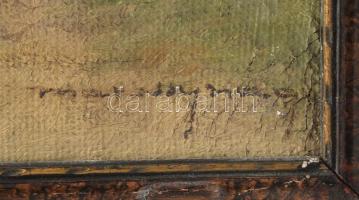 Olvashatatlan jelzéssel: Hegyvidéki táj. Olaj, vászon, kissé sérült. Dekoratív fakeretben, 39x47 cm